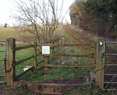Jasmine Memorial track - access from Bottom Lane, Sarratt