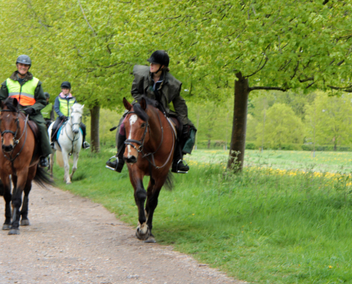 Opening of the Metro Bridleway track