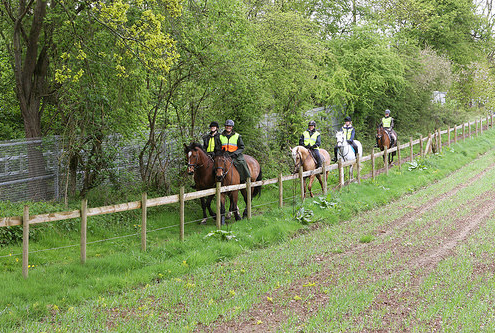 Opening of the Metro Bridleway track